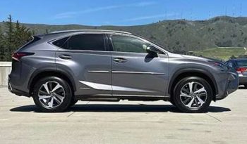 
										Used 2019 Lexus NX 350 full									