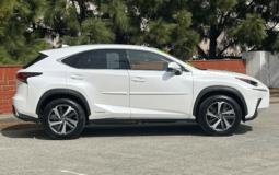 Used 2019 Lexus NX 300h