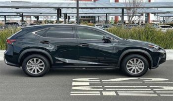 
										Used 2019 Lexus NX 300h full									