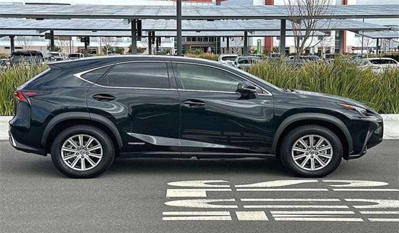 
								Used 2019 Lexus NX 300h full									