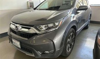 
										Used 2019 Honda CR-V full									