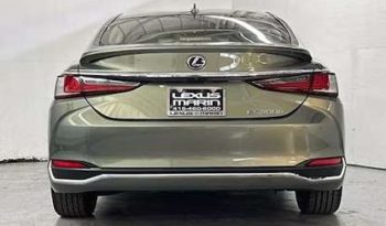 
										Used 2019 Lexus ES 300h full									