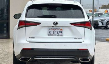 
										Used 2020 Lexus NX 300 full									