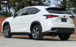 Used 2019 Lexus NX 300h