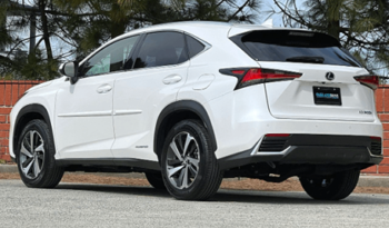 
										Used 2019 Lexus NX 300h full									