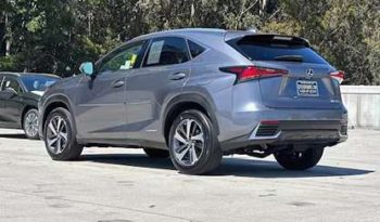 
										Used 2019 Lexus NX 350 full									