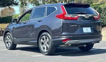 
										Used 2019 Honda CR-V full									