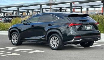 
										Used 2019 Lexus NX 300h full									