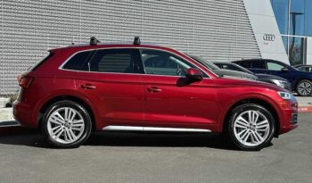 
										Used 2019 Audi Q5 full									